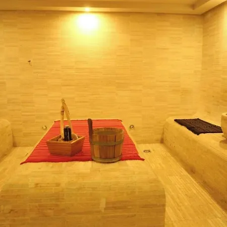 Hotel Palace &