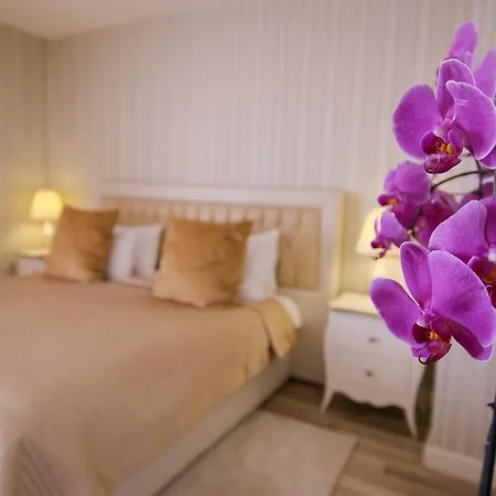 Hotel Palace & 5*