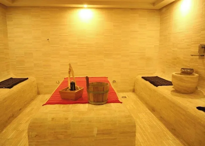 酒店 帕拉斯温泉酒店