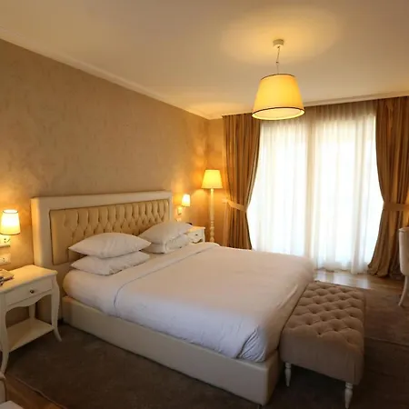Palace & 5*