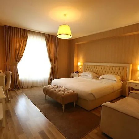 Hotel Palace &